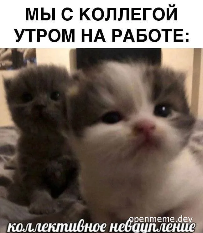 Two cats with a caption about morning at work