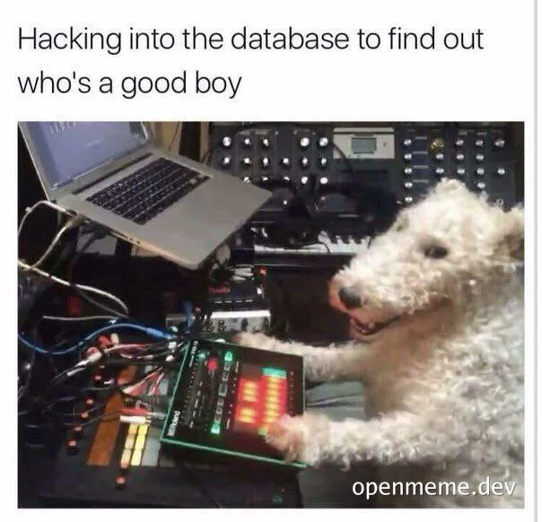 Dog interacting with a soundboard and laptop