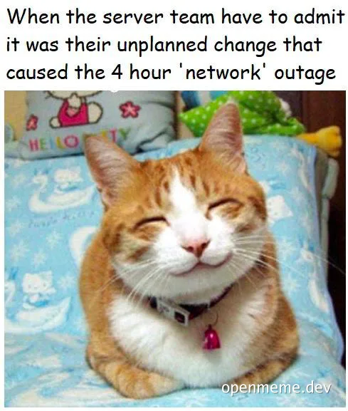 Smug cat admitting to unplanned server change causing network outage