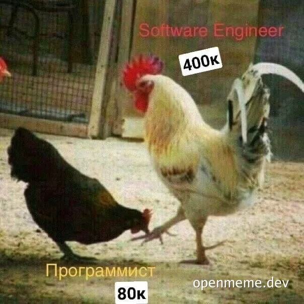 Software engineer salary meme with a rooster and a hen
