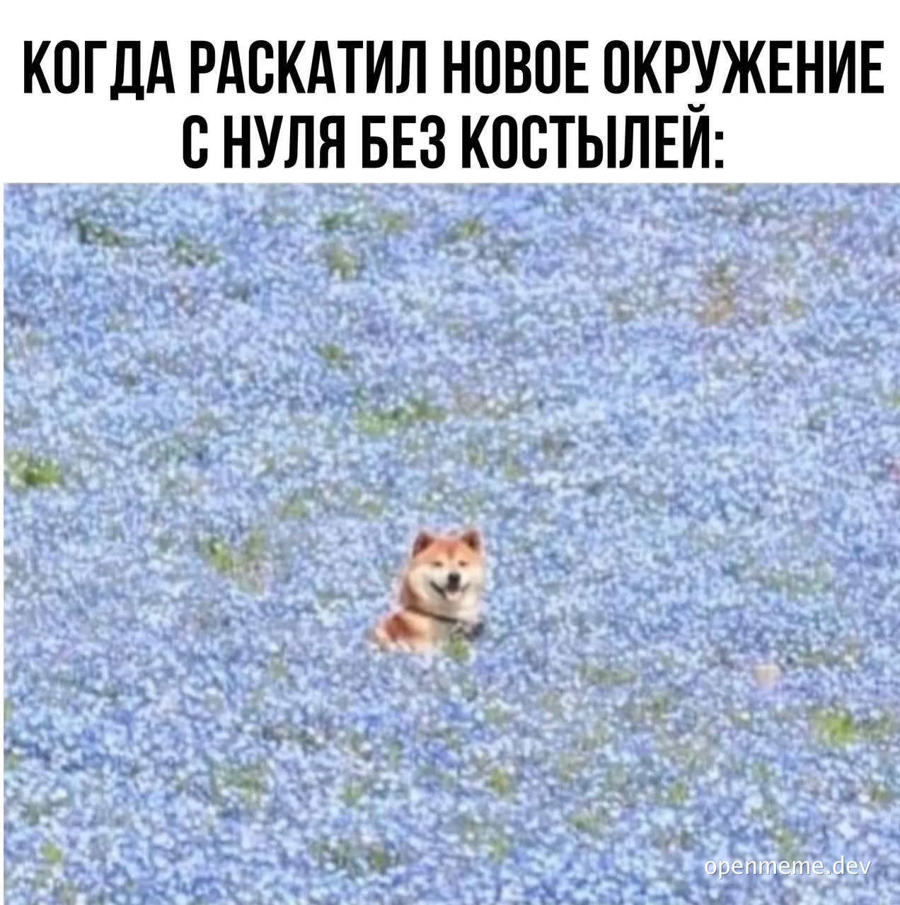 Shiba dog in a field of flowers with a happy expression