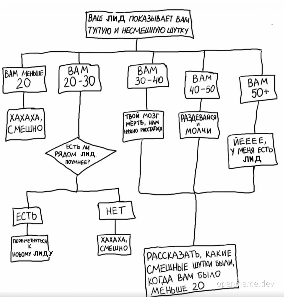 A flowchart meme in Russian depicting reactions to a leader's joke based on age.
