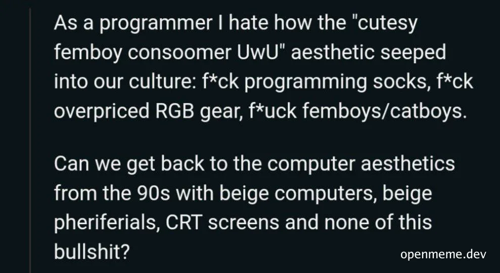 programmer rant about computer aesthetics