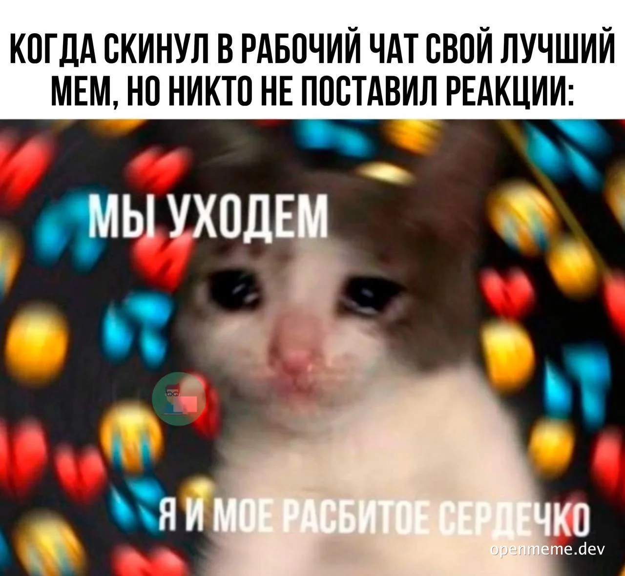 cat with sad expression surrounded by colorful hearts