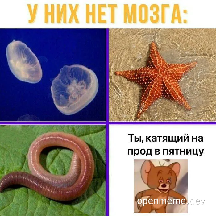 meme about brainless animals and a developer on a friday