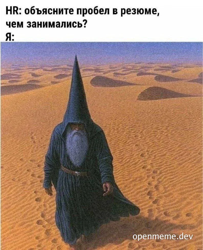 Hooded wizard with a long beard walking through an endless desert, used as a reaction to a huge gap in a resume