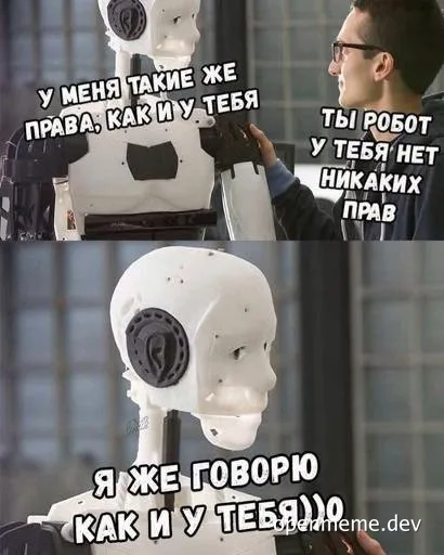 Robot meme about rights