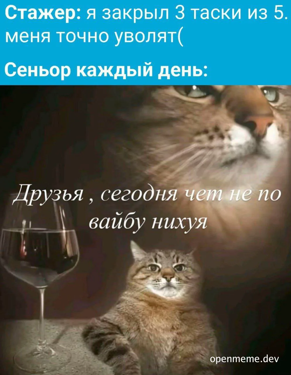 cat with a glass of wine, disappointed cat