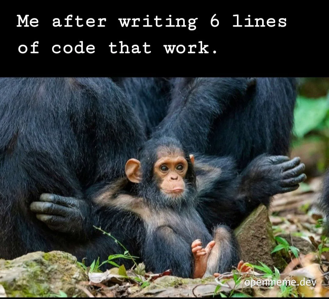 a baby chimpanzee sitting under its mother with a caption about coding