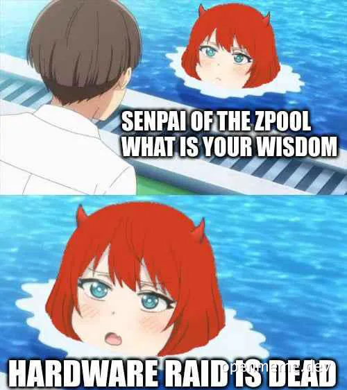 anime girl in pool with text about hardware raid