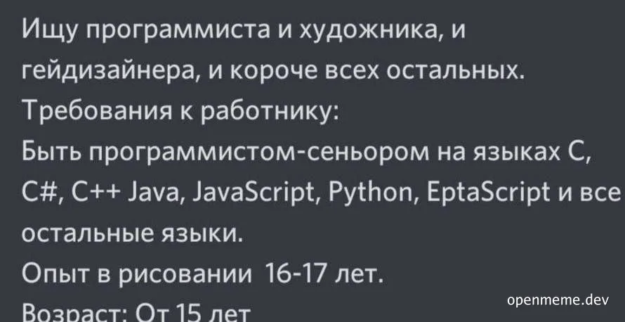 russian job posting for a senior programmer and artist