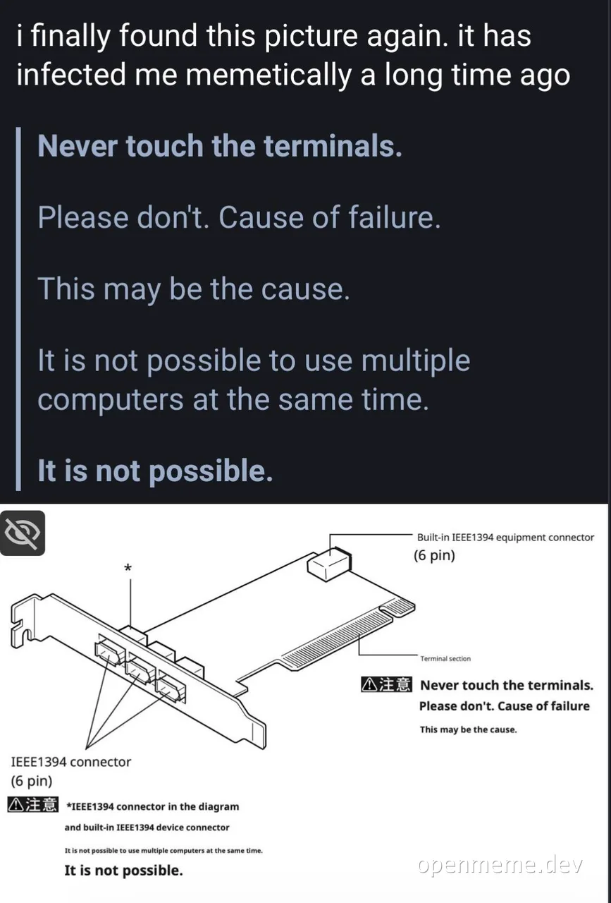 meme about touching computer terminals