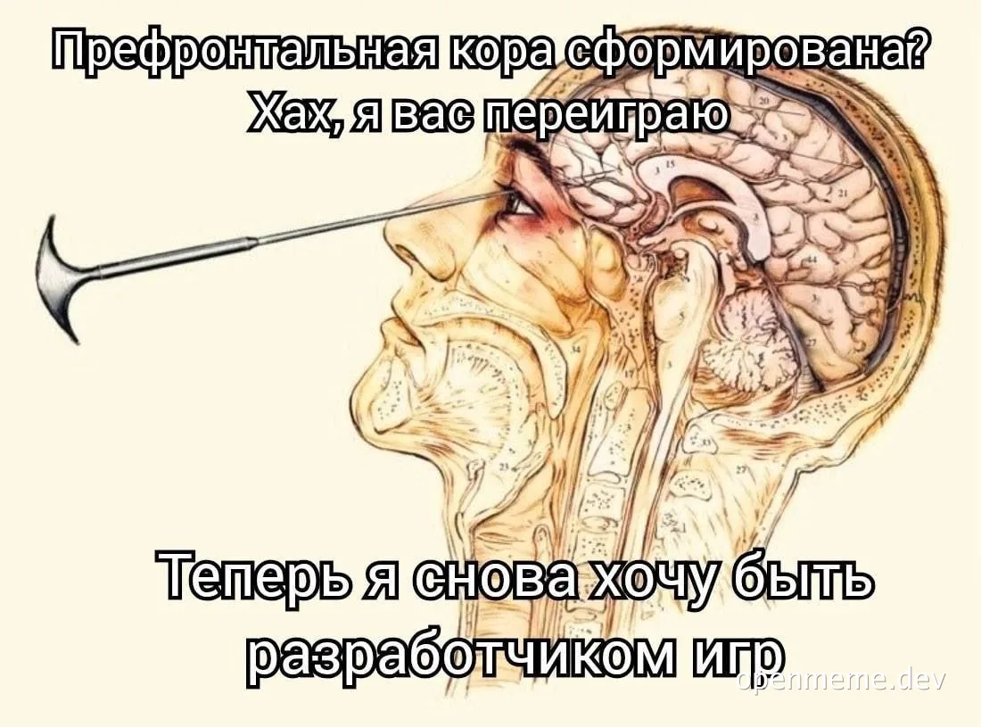 Illustration of a brain with a lobotomy tool inserted, accompanied by Russian text about removing the prefrontal cortex to return to game development.