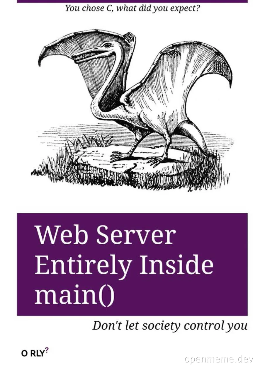 Web server entirely inside main() meme with O RLY owl