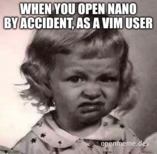 Close-up of a toddler with a disgusted and confused expression, captioned 'When you open nano by accident, as a vim user'.
