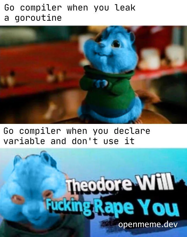 go compiler meme
