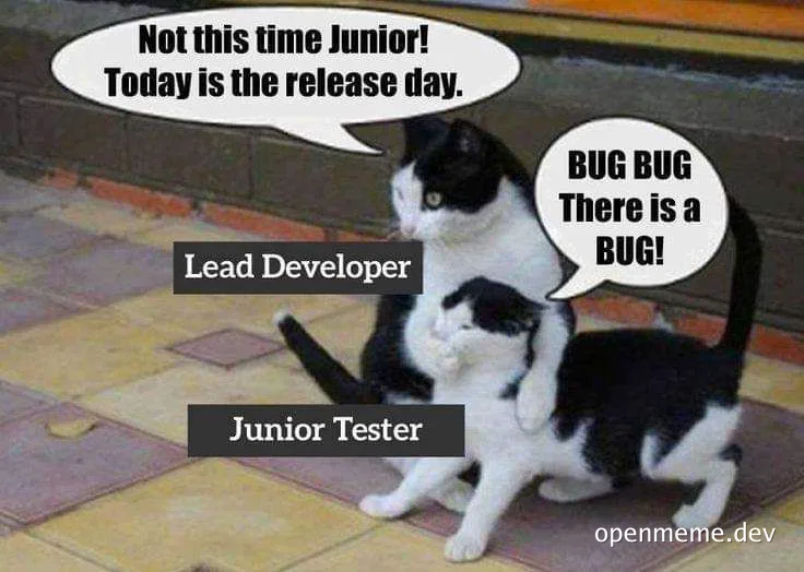 Two cats, one on top labeled Lead Developer saying 'Not this time Junior! Today is the release day.' and one below labeled Junior Tester saying 'BUG BUG There is a BUG!'
