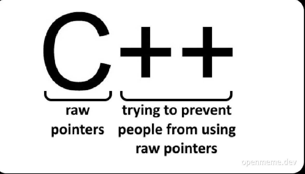 C++ raw pointers meme