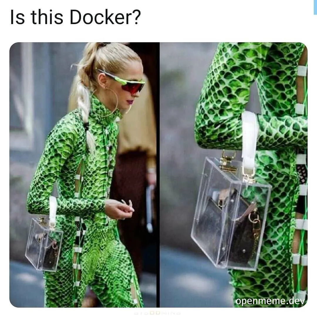Woman in green snakeskin outfit holding clear plastic bag, Is this Docker?