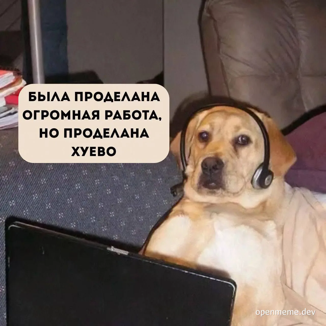 dog wearing headphones sitting with laptop