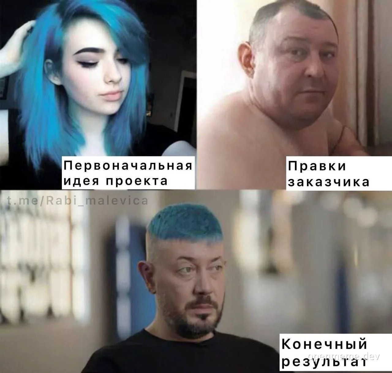 meme about project development process