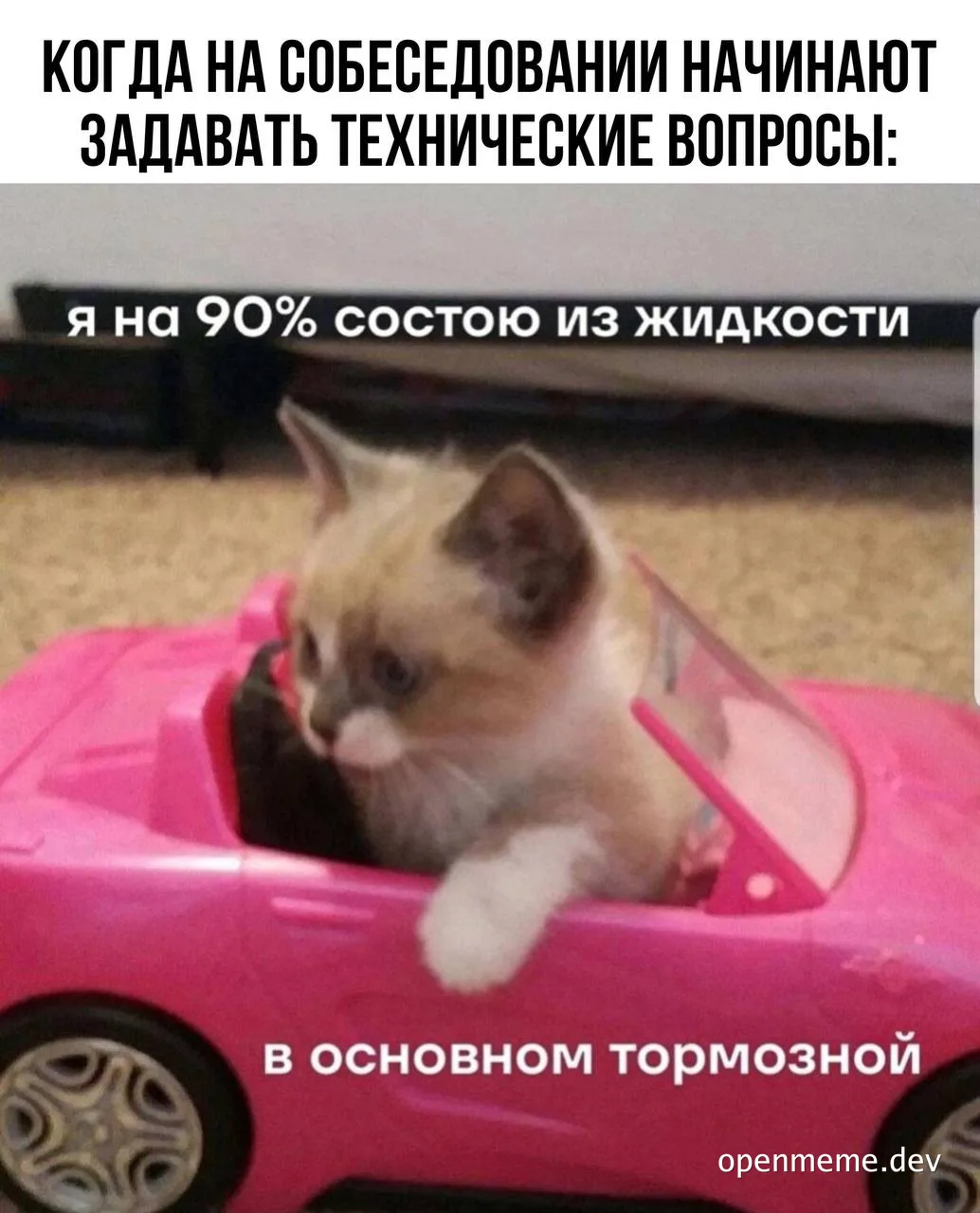 Cat sitting in a pink toy car with Russian captions about being 90% liquid, mostly brake fluid, when asked technical questions at an interview
