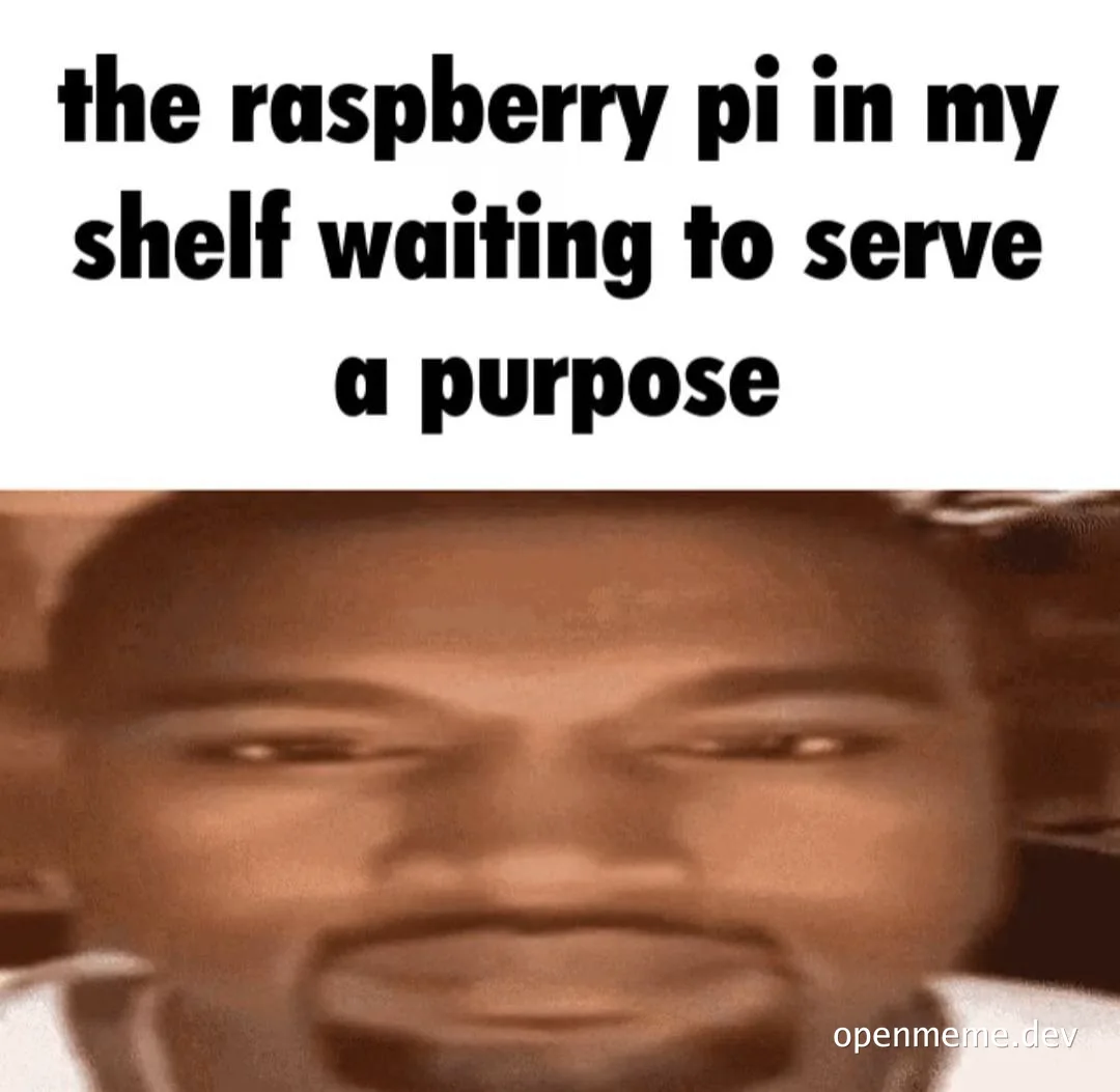 raspberry pi meme with man smirking
