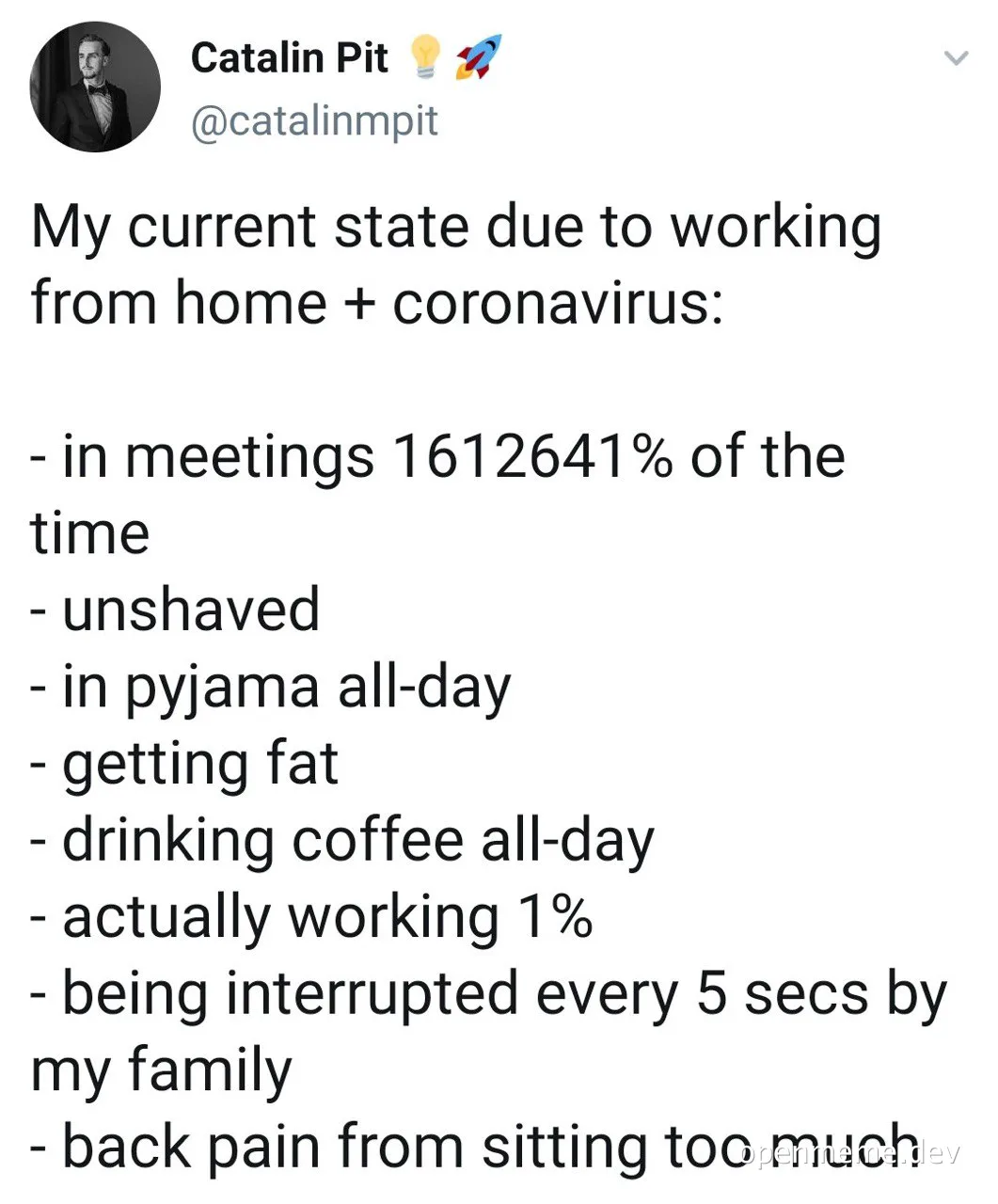 relatable meme about working from home during coronavirus