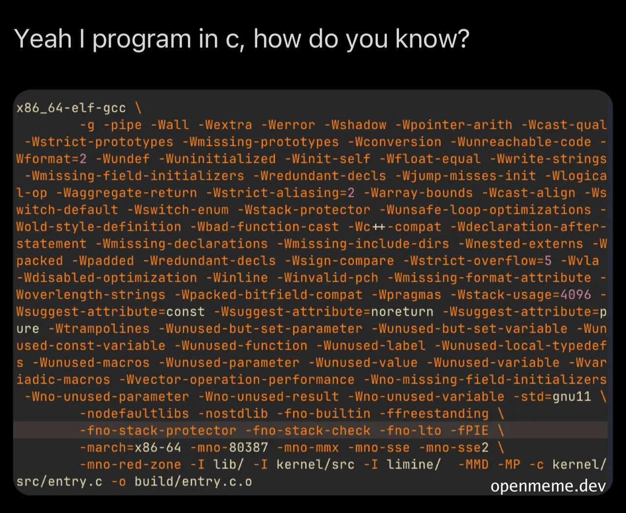a terminal screen with a gcc compiler command and the text 'Yeah I program in c, how do you know?'