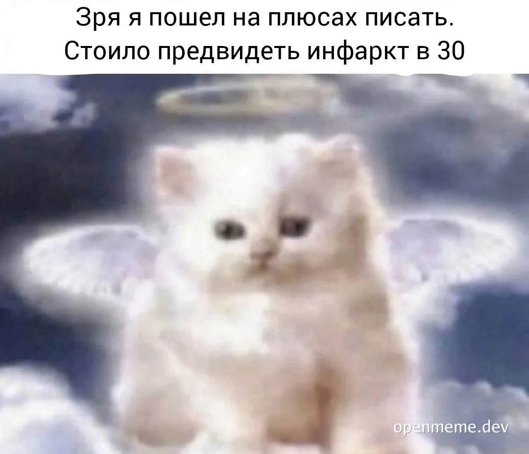 kitten with angel wings and halo with russian caption