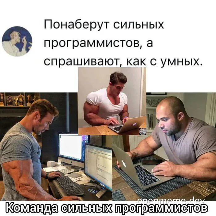 meme of muscular programmers