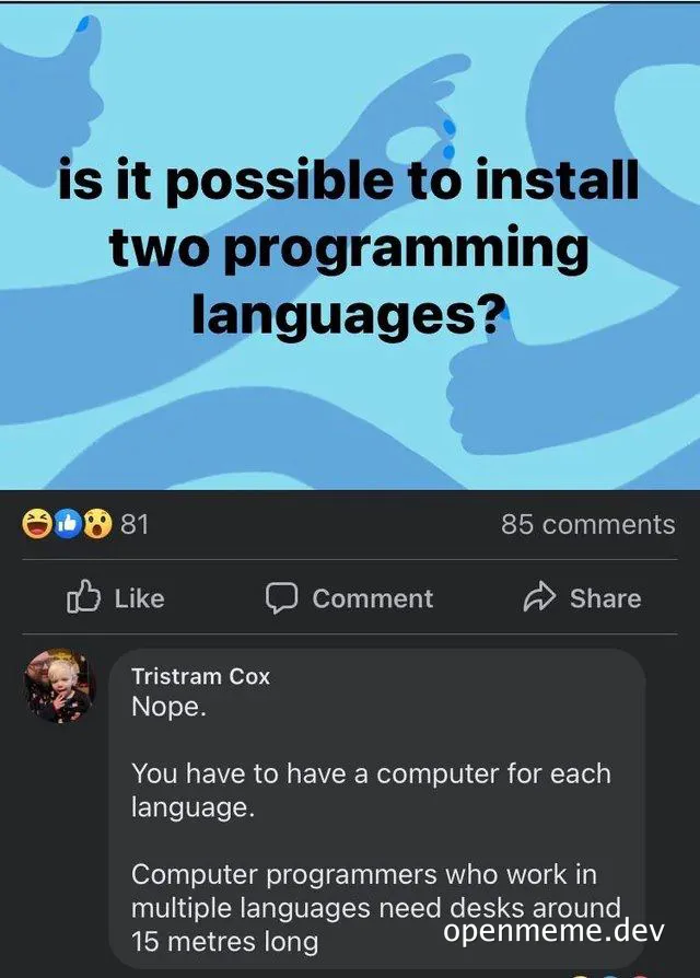 programmer workspace joke about multiple programming languages