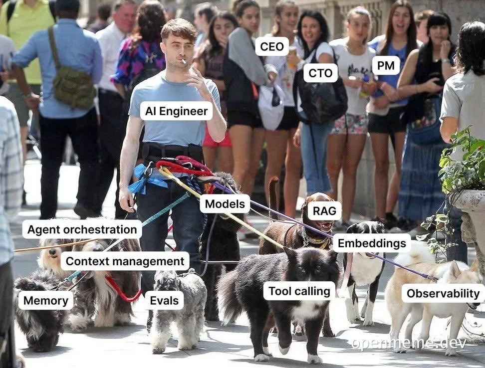 Meme of an AI Engineer walking a large pack of dogs labeled Models, RAG, Embeddings, Tool calling, Observability, Evals, Context management, Agent orchestration, and Memory, while attractive women labeled CEO, CTO, and PM walk behind him
