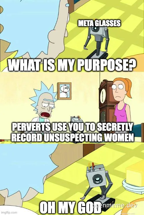 Rick and Morty meme panel with a small robot labeled Meta Glasses asking what its purpose is, while Rick and Morty look on